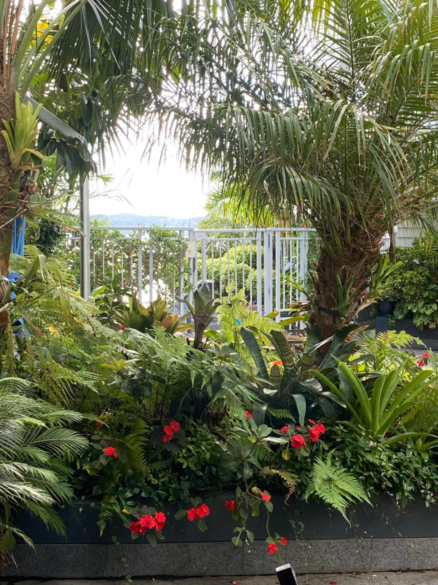 By The Sea Apartment Paihia Exterior foto